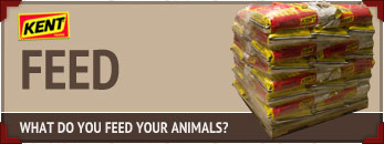 Covel Creek Farms Feed